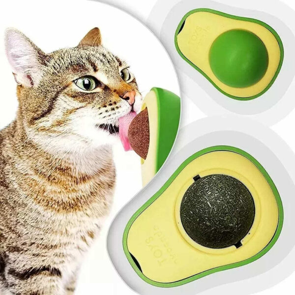 CatNip Hierba Gatera - Imagen 2