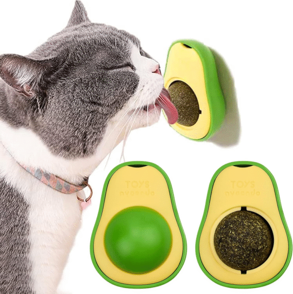 CatNip Hierba Gatera - Imagen 3